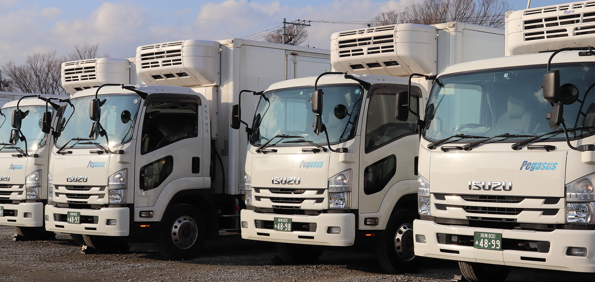 株式会社ペガサス